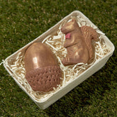 Golden Chocolate Squirrel And Acorn